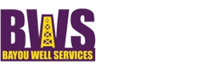 Bayou Well Services, LLC